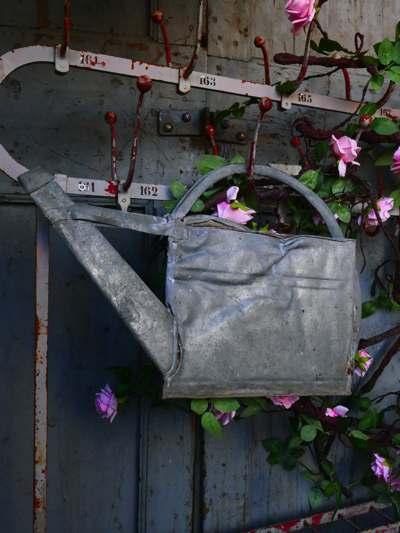 compression d'arrosoir en zinc ref 5 – Image 5