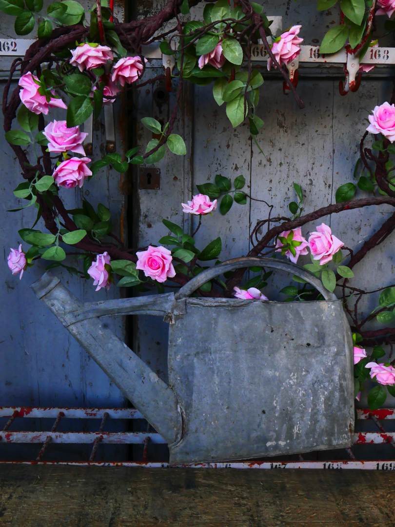 compression d'arrosoir en zinc ref 4 – Image 6