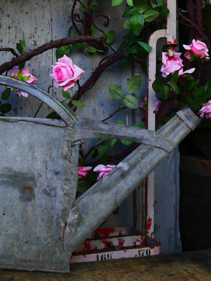 compression d'arrosoir en zinc ref 4 – Image 4