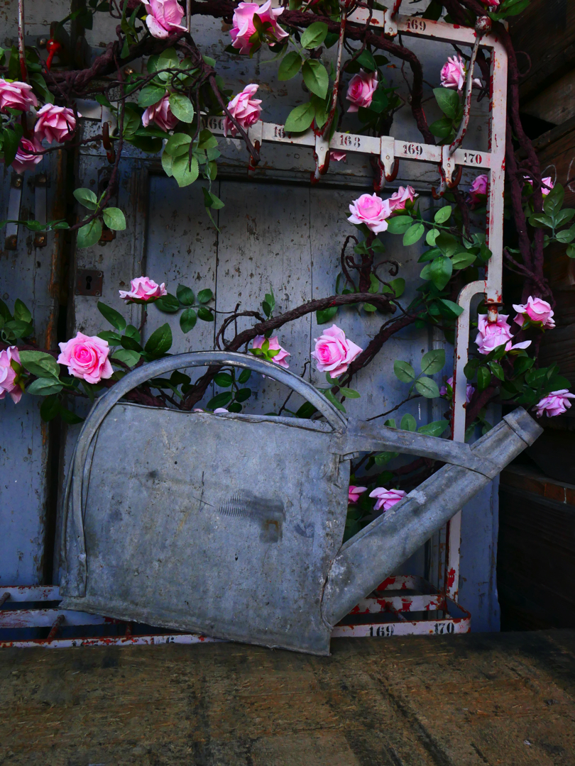 compression d'arrosoir en zinc ref 4 – Image 2