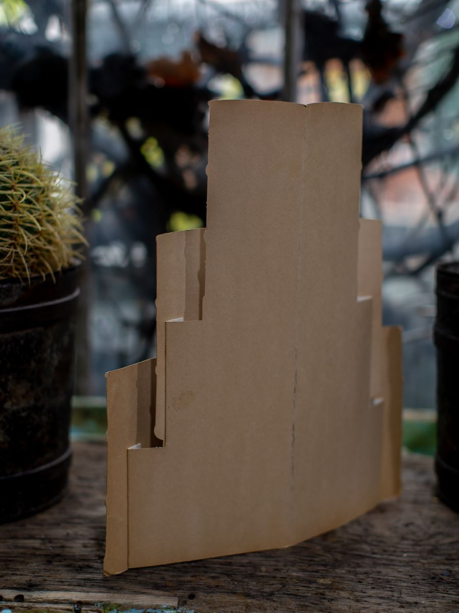 ancienne publicité carton Canigou Ron Ron ancienne publicité carton Canigou Ron Ron – Image 6