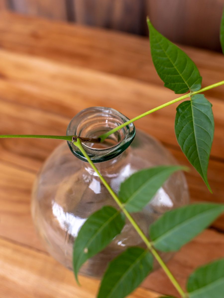 Vase en verre recyclé façon dame jeanne – Image 4