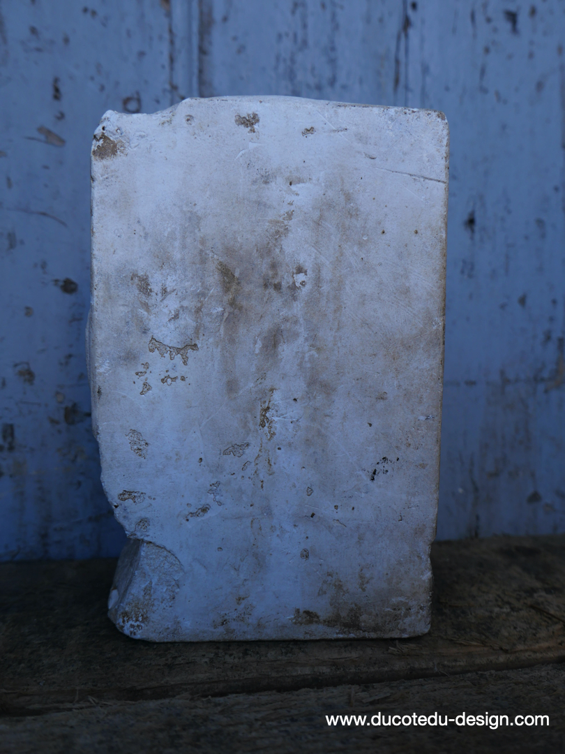 Buste en platre de Pasteur , medecine – Image 7