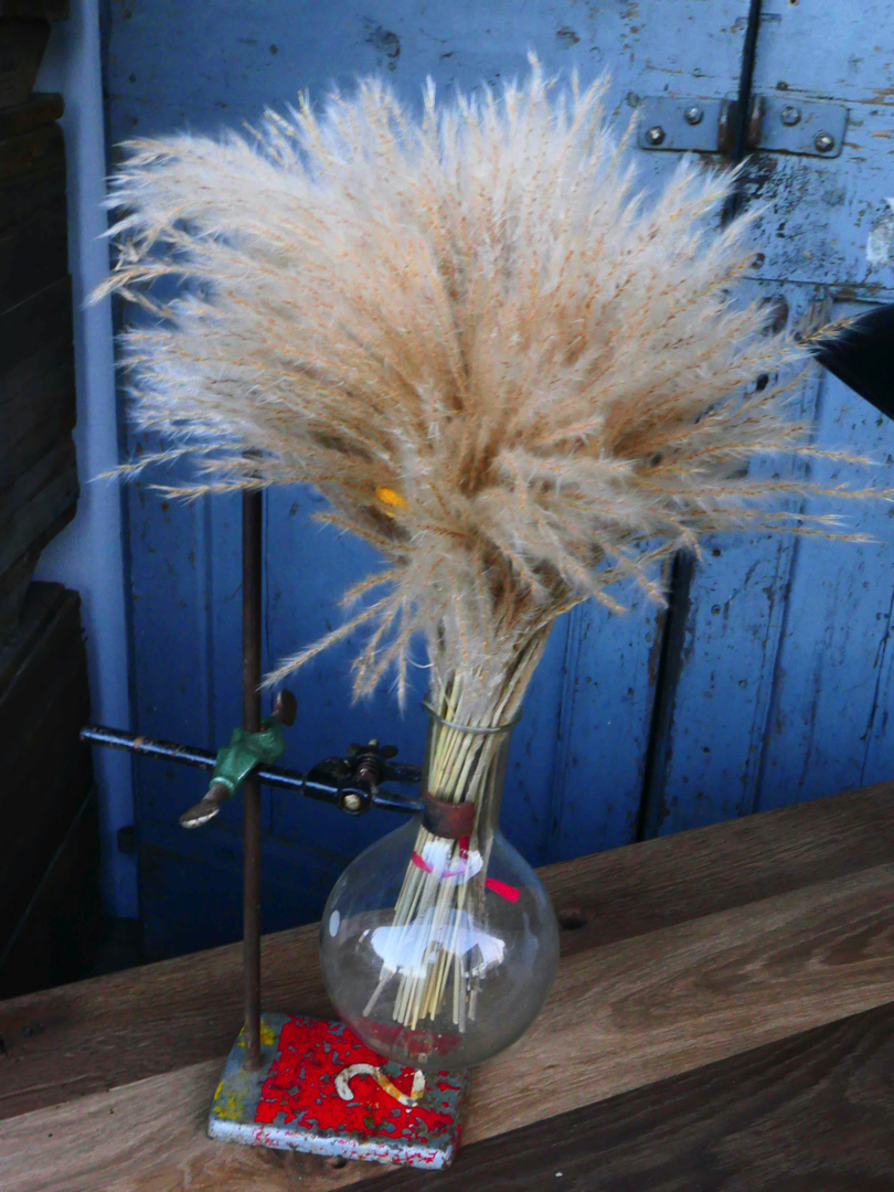 pied de laboratoire patiné verrerie 1 globes vases – Image 11