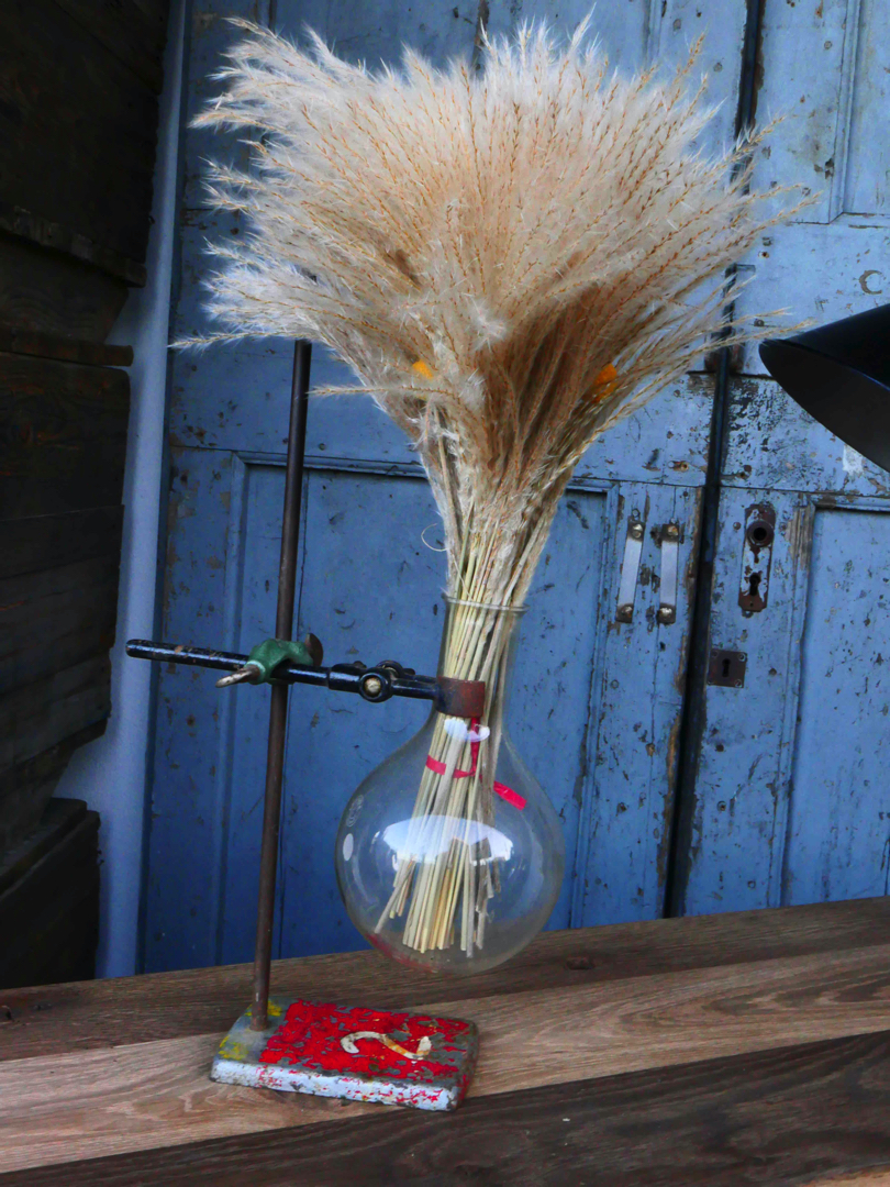 pied de laboratoire patiné verrerie 1 globes vases – Image 5