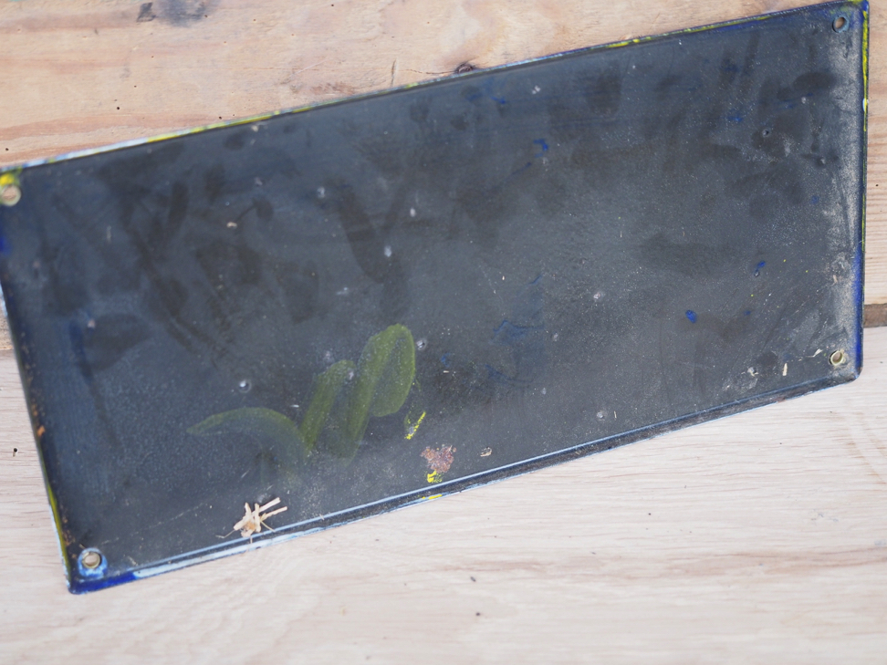 ancienne plaque emaillee publicitaire Arlatte chicorée – Image 12