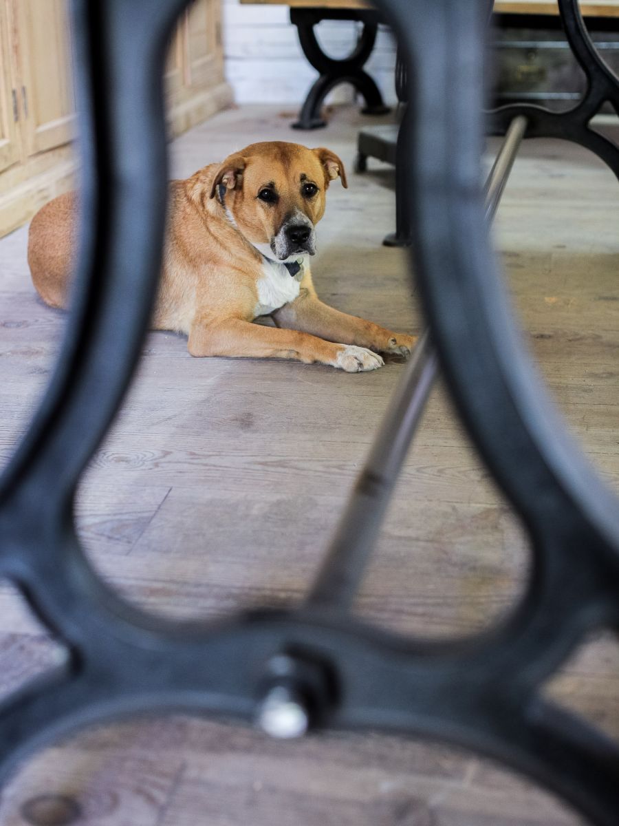 table industrielle plateau chene massif pietement fonte – Image 13