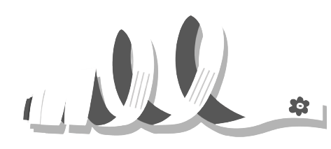 bolducs fleuriste