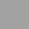 GRIS ALU RAL 9006