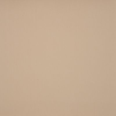 BEIGE 8902 120