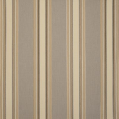 CHICAGO BEIGE D311 120