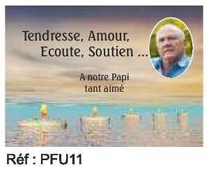 PFU11