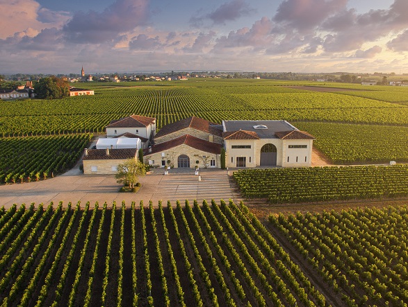 the-wine-merchant-negoce