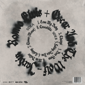 Album Jardin vu côté verso par Roméo Elvis et Oscar and The Wolf