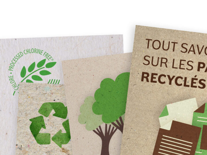 couverture de l'article avec des papiers texturés recyclés et des illustrations vectorielles vert et marron fond blanc